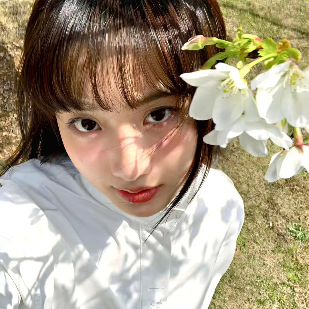 傲骨之战第三季